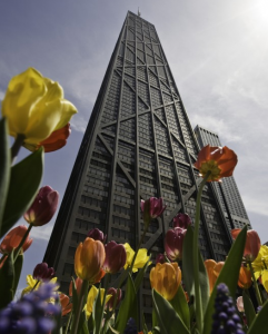 flowertower